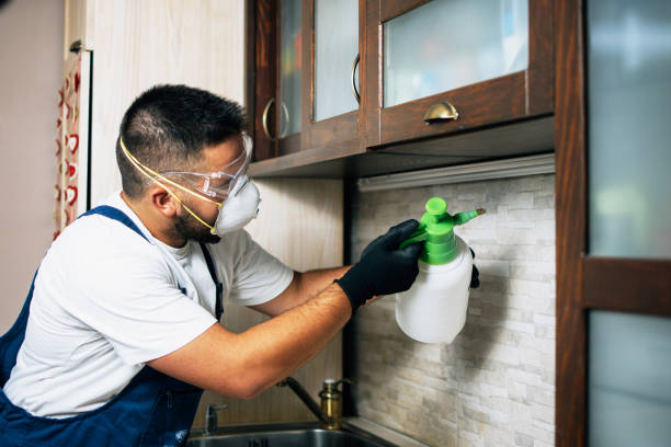 Best Commercial Pest Control Services  in Baileyton, AL