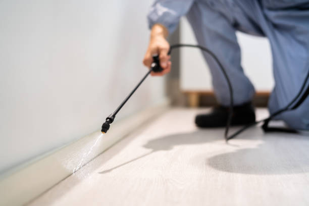 Best Mosquito Control Services  in Baileyton, AL