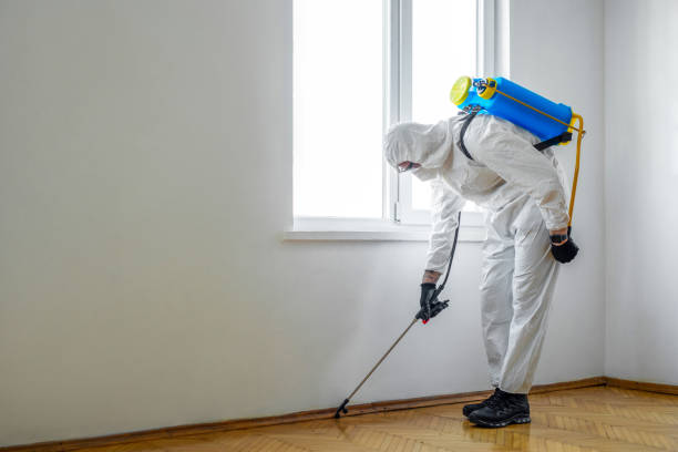 Best Commercial Pest Control Services  in Baileyton, AL