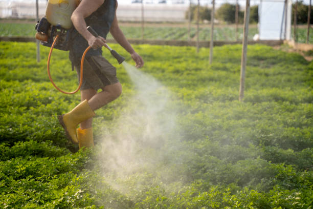 Wasp Removal Services in Baileyton, AL