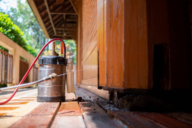Best Mosquito Control Services  in Baileyton, AL