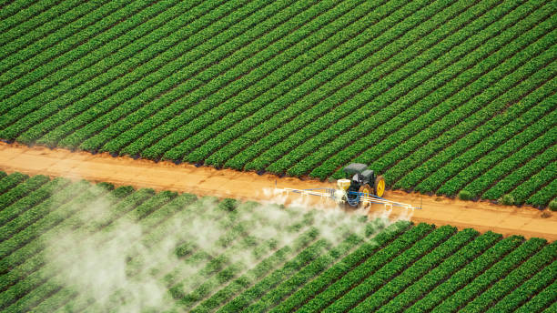Best Pest Prevention Services  in Baileyton, AL