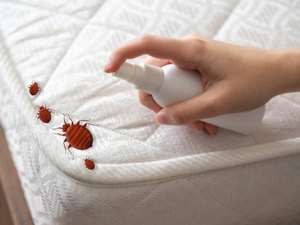 Best Pest Control Near Me  in Baileyton, AL