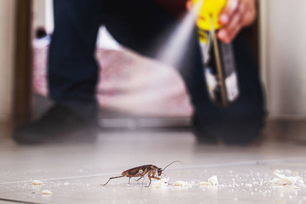 Best Wasp Removal Services  in Baileyton, AL