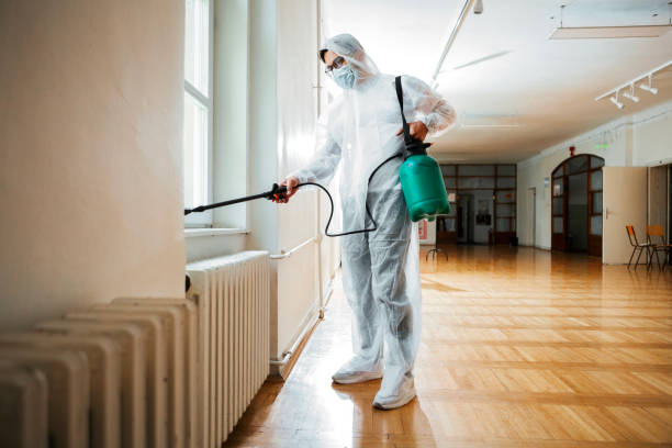 Best Affordable Pest Control Services  in Baileyton, AL