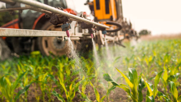 Best Best Pest Control Companies  in Baileyton, AL