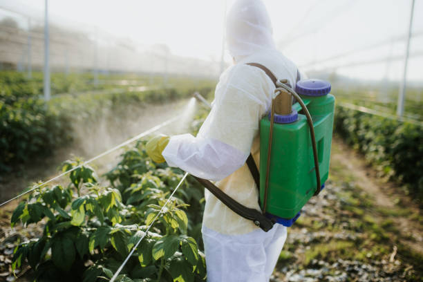 Best Best Pest Control Companies  in Baileyton, AL